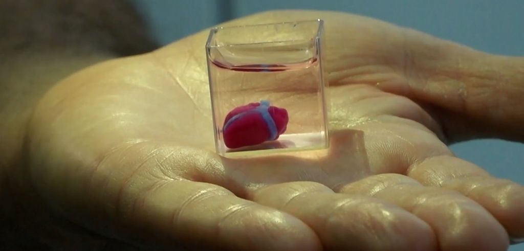 Des scientifiques impriment un mini-cœur en 3D Des scientifiques impriment un mini-cœur en 3D