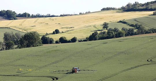 La France franchit « un cap » dans l’agriculture biologique La France franchit « un cap » dans l’agriculture biologique