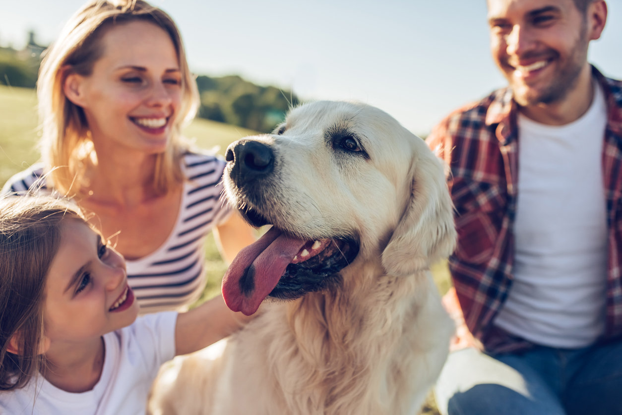 Les maladies que peut vous transmettre votre animal Les maladies que peut vous transmettre votre animal