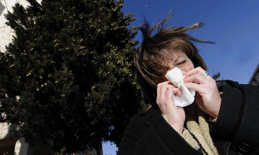 Allergies : les Bouches du Rhône et le Vaucluse en alerte rouge Allergies : les Bouches du Rhône et le Vaucluse en alerte rouge